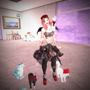 Thumb 65a27914ef04cf7964710060