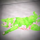 Thumb 65a285a4c3b2a10c336f1d8c