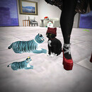 Thumb 65a285a70917234a5563e925