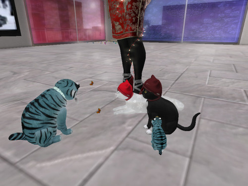 Web 65a26c412eccf21ba441cf37