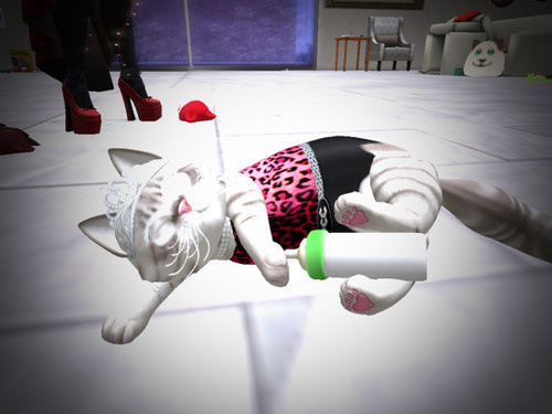 Web 65a2df133eaab330b55ee47a