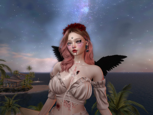 Web 65e062d8e653e63f54892c2a