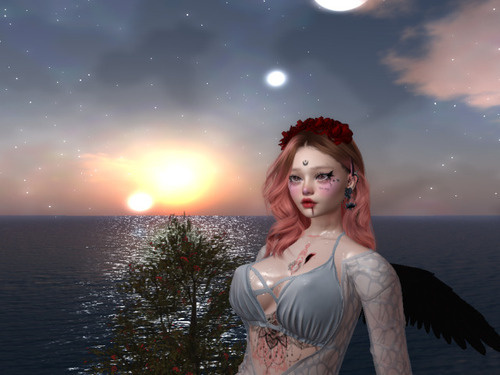 Web 65e0997ee9253b2b15e745fe