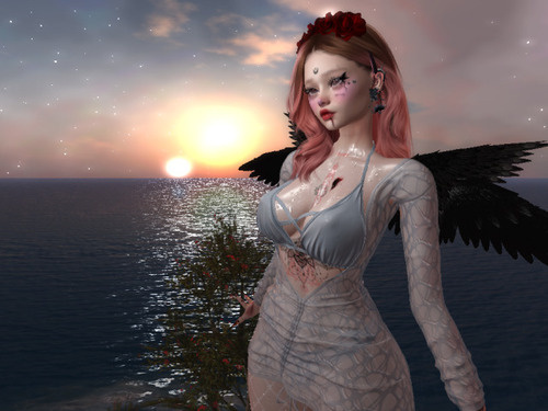 Web 65e09aecbe672a462d264780