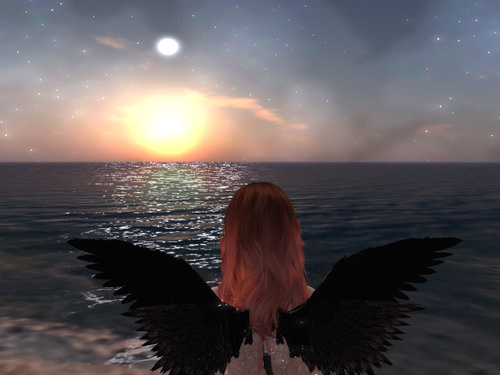 Web 65e1b639f245c14a7f157382