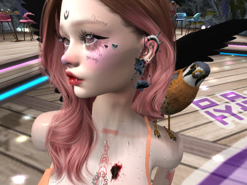 Web 662a961e5313f248bbed3a61