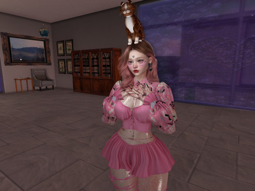 Web 6643fff3366b4611ee1d3f1b