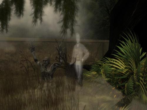 Web 59ed611d289dd23584000001