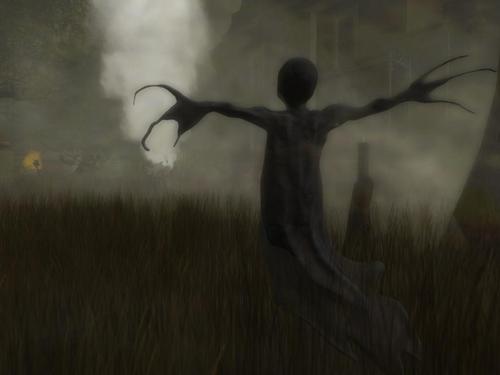 Web 59eff6f8d9859c753a000001