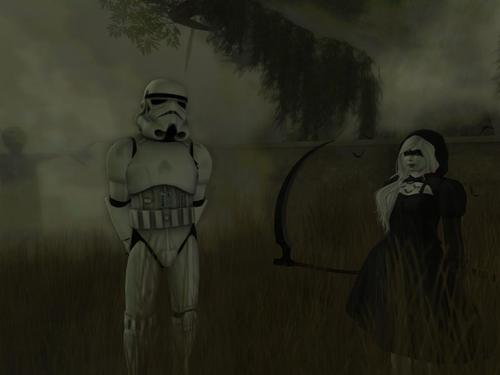 Web 59f0002c73ed17583b000001