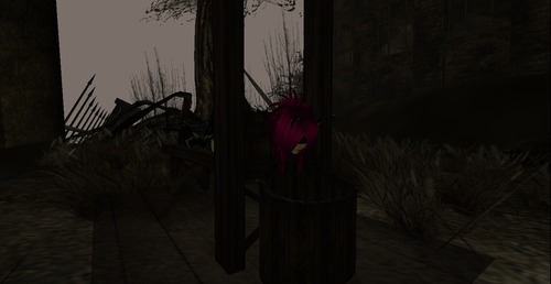 Web 511d892b937cc1163b000001