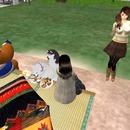 Thumb 4f1b6ae3fa11e420ad000001