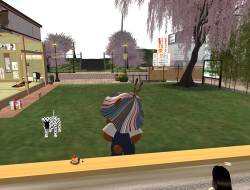 Web 4f8d780a705dc83c23000001