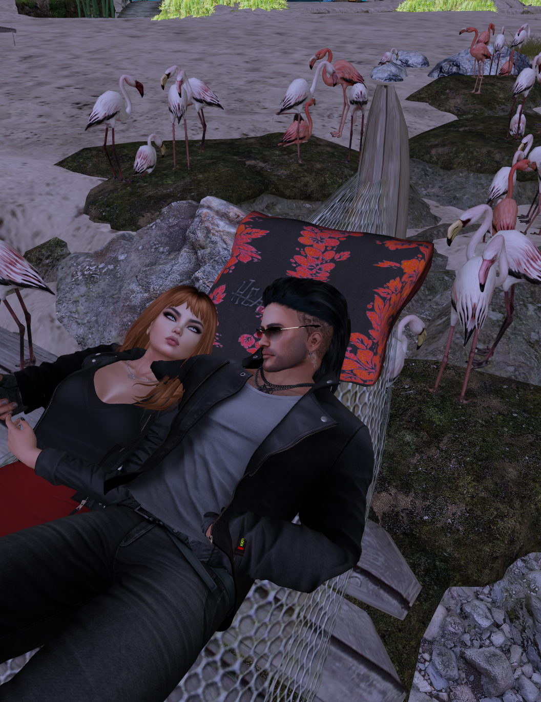 Original 6654f2b219296635a3f0bd61