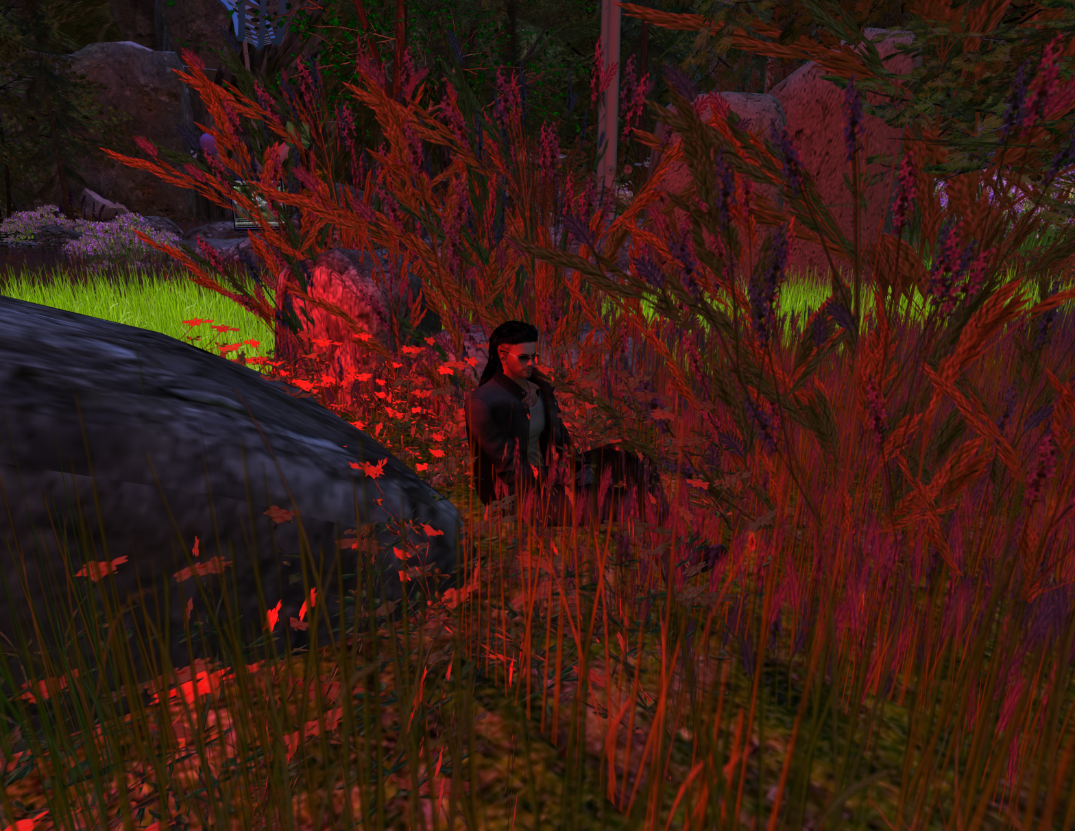 Original 66a1492cacc3e646c388f803