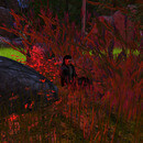 Thumb 66a1492cacc3e646c388f803