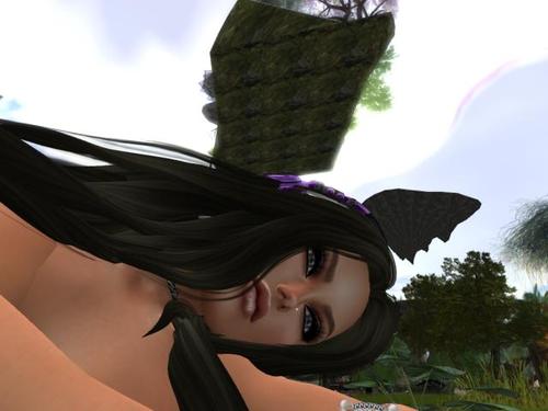 Web 5a10d9dad774f868ee000001