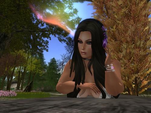 Web 5a10dba3d774f87c18000001