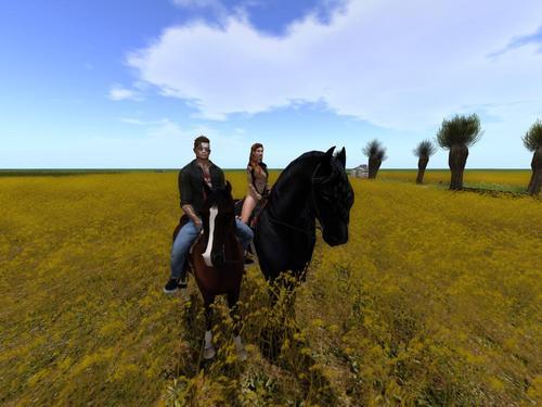 Web 613e1015431efb10f5daf3ce