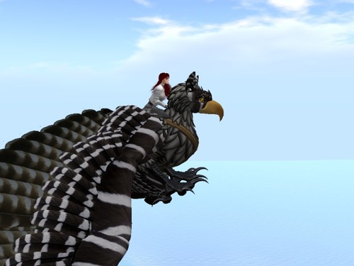 Web 589b8948e85cda234b000001