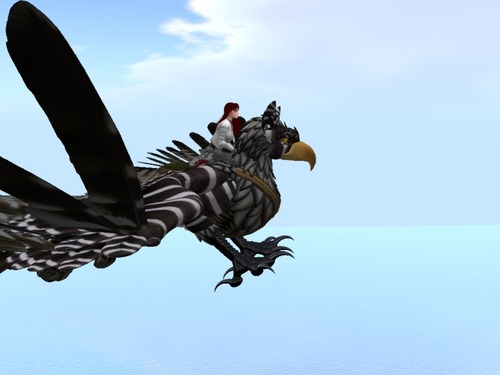 Web 589b8983e85cda25c8000001