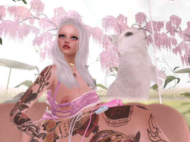 Original 649acbc9f84c8d37368beea2