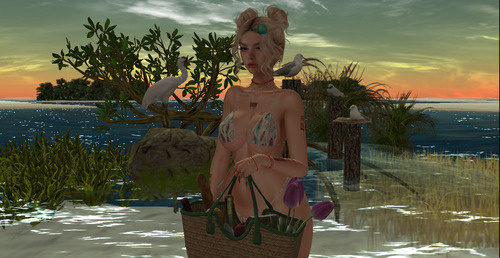 Web 66a704d98bfdca38ed16f6ab