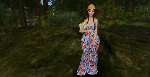 Web 66afeda16e233a273430c087