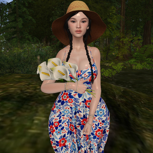 Web 66afee7016e89279d197a87c