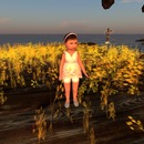 Thumb 536e3d7ba73e216130000001