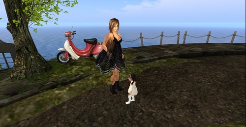 Web 539f18f6a73e213c79000001