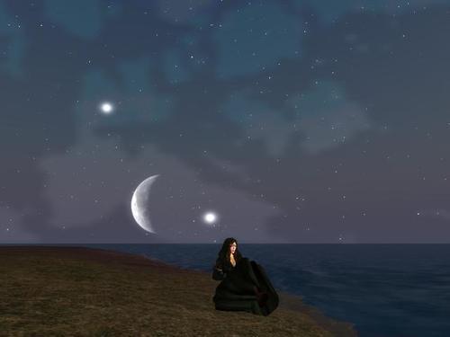 Web 61fbcf77b41dd66c6599065f