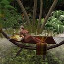 Thumb 5b644649d774f80a78000001