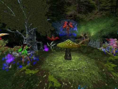 Web 58cc48b2e85cda1d3b000001