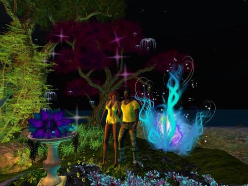 Web 59045236d9859c6523000001