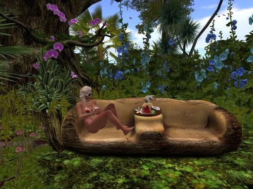 Web 5b644359289dd21347000001