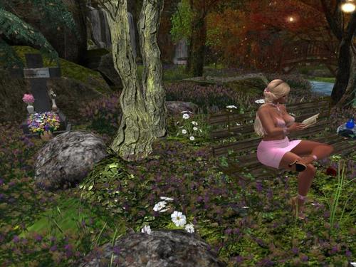 Web 5ba8af62d774f83f43000001