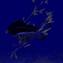 Thumb 5136320ff95ac15b42000001