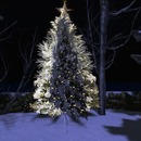 Thumb 585f009ab713f74266000001