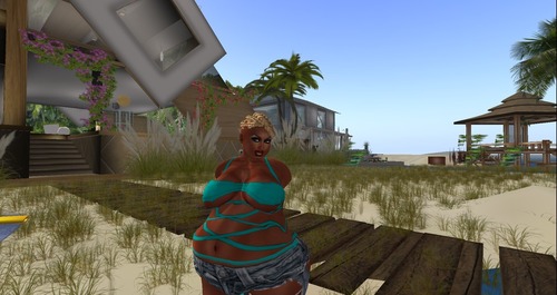 Web 5408a624f8a1ec13f8000001