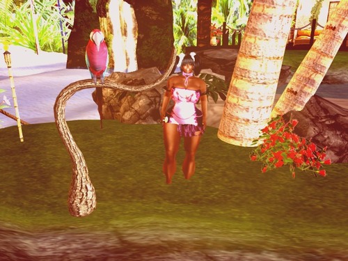 Web 5478fbb7a73e21628c000001