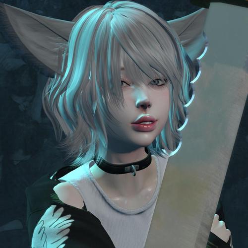 Web 5c0b830ed9859c1f6a000001