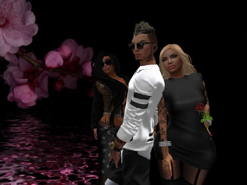 Web 54e84a04a73e21728e000001