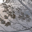 Thumb 50ab8d87d686dc0057000001