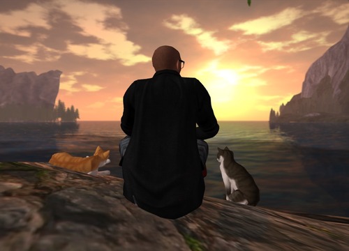 Web 5121cbf41aca642096000001