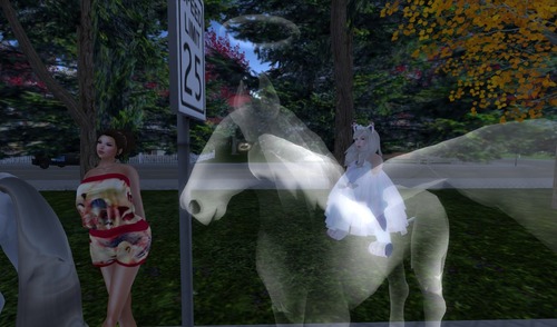 Web 505e34e14817ae1a39000001