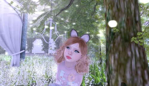 Web 5260671c8865177bcb000001