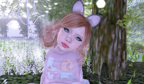 Web 526068abfe87303daa000001