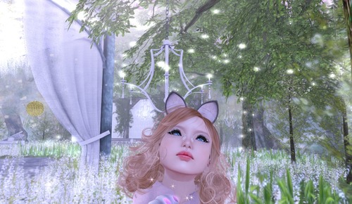 Web 52606a360ef1ed295c000001