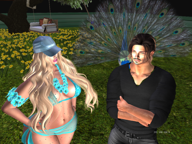 Original 5cbc1fe8d9859c6e78000001